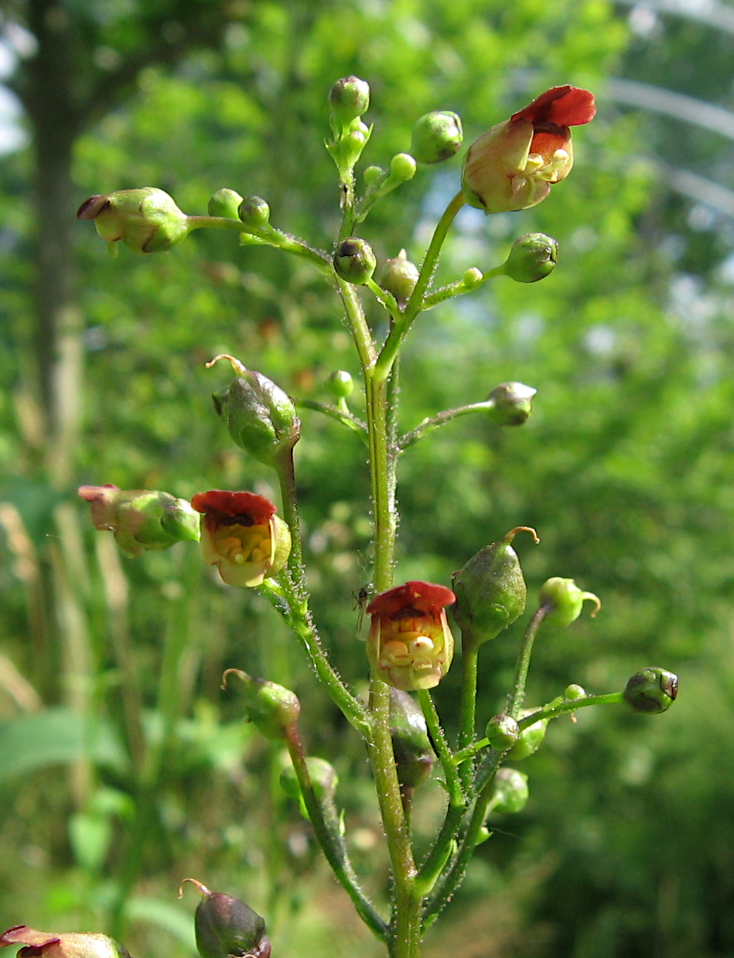 X Square 3 Solutions